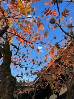  初雪後の青空