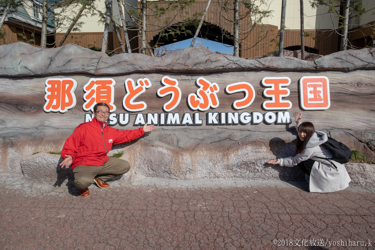 動物園のsdgsの取り組み Sdgs Voice