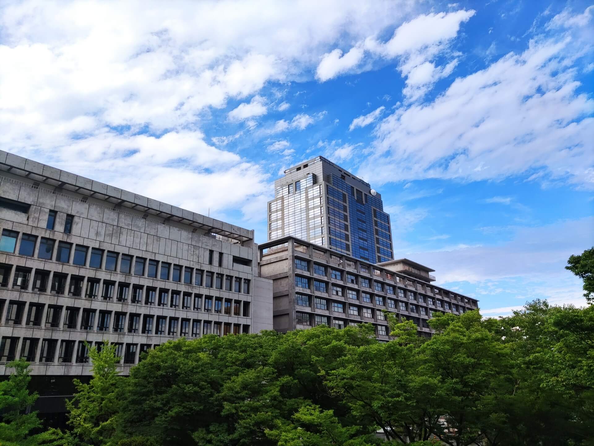 「対立している場合か」千葉県知事選で無所属現職が再戦した意味とは？