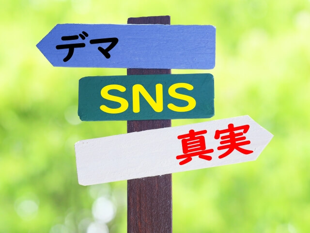 大きな災害発生時におけるSNSのデマ、ニセ情報の拡散には、改めて注意が必要